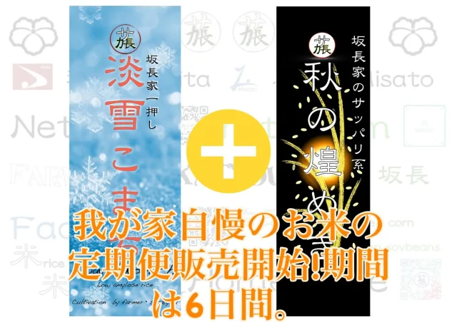 限定米【坂長】秋の煌めき〜akinokirameki〜 - 農家 坂長 -